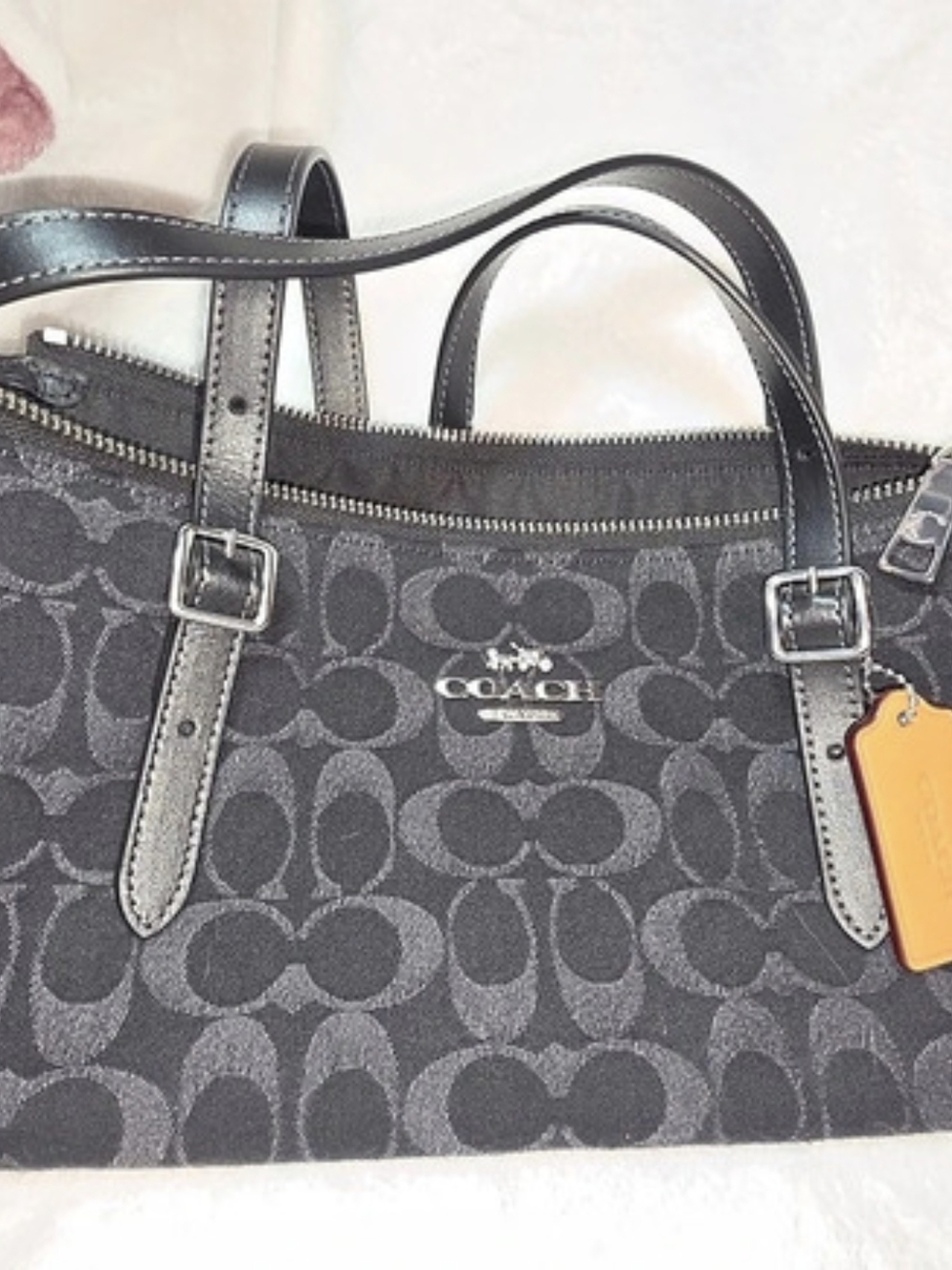 Coach Asher Bag